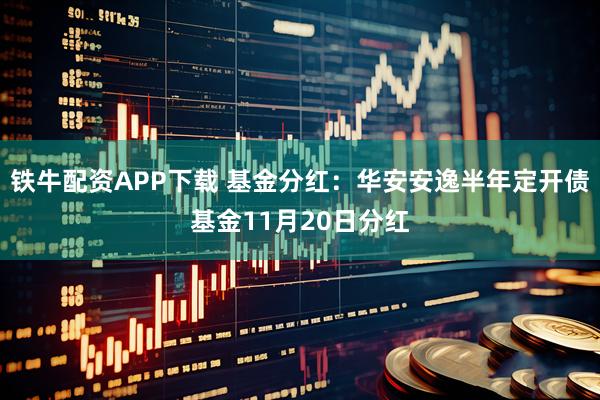 铁牛配资APP下载 基金分红：华安安逸半年定开债基金11月20日分红