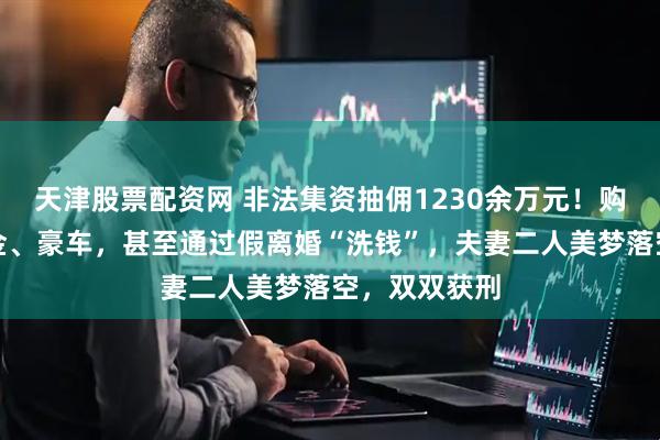 天津股票配资网 非法集资抽佣1230余万元！购置房产、黄金、豪车，甚至通过假离婚“洗钱”，夫妻二人美梦落空，双双获刑